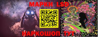 стафф Будённовск