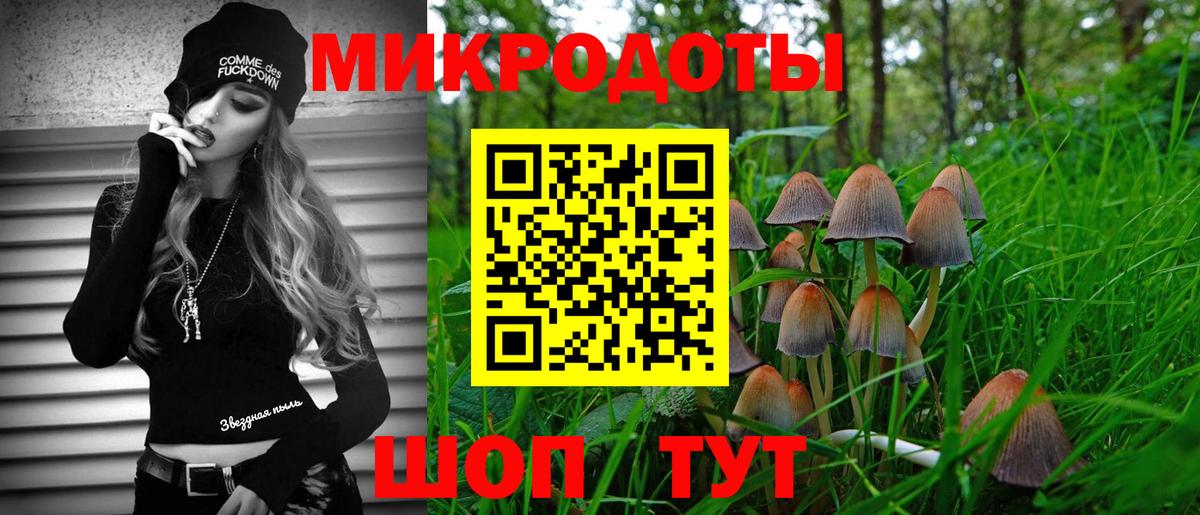 Галлюциногенные грибы мухоморы Волоколамск